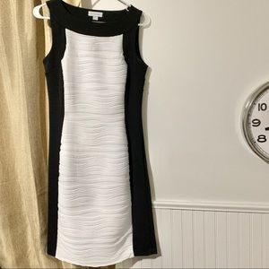 Calvin Klein Black White Ribbed Bodycon Dress
